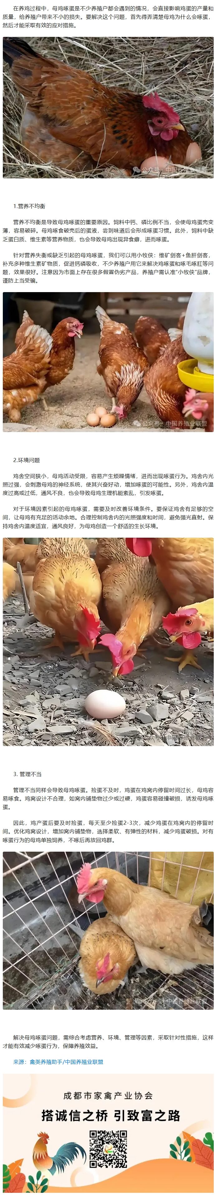 屏幕截图_19-3-2026_16330_mp.weixin.qq.com(1).jpeg