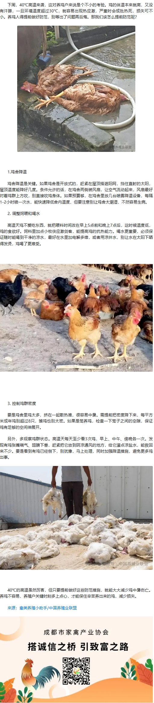 屏幕截图_19-3-2026_163845_mp.weixin.qq.com.jpeg